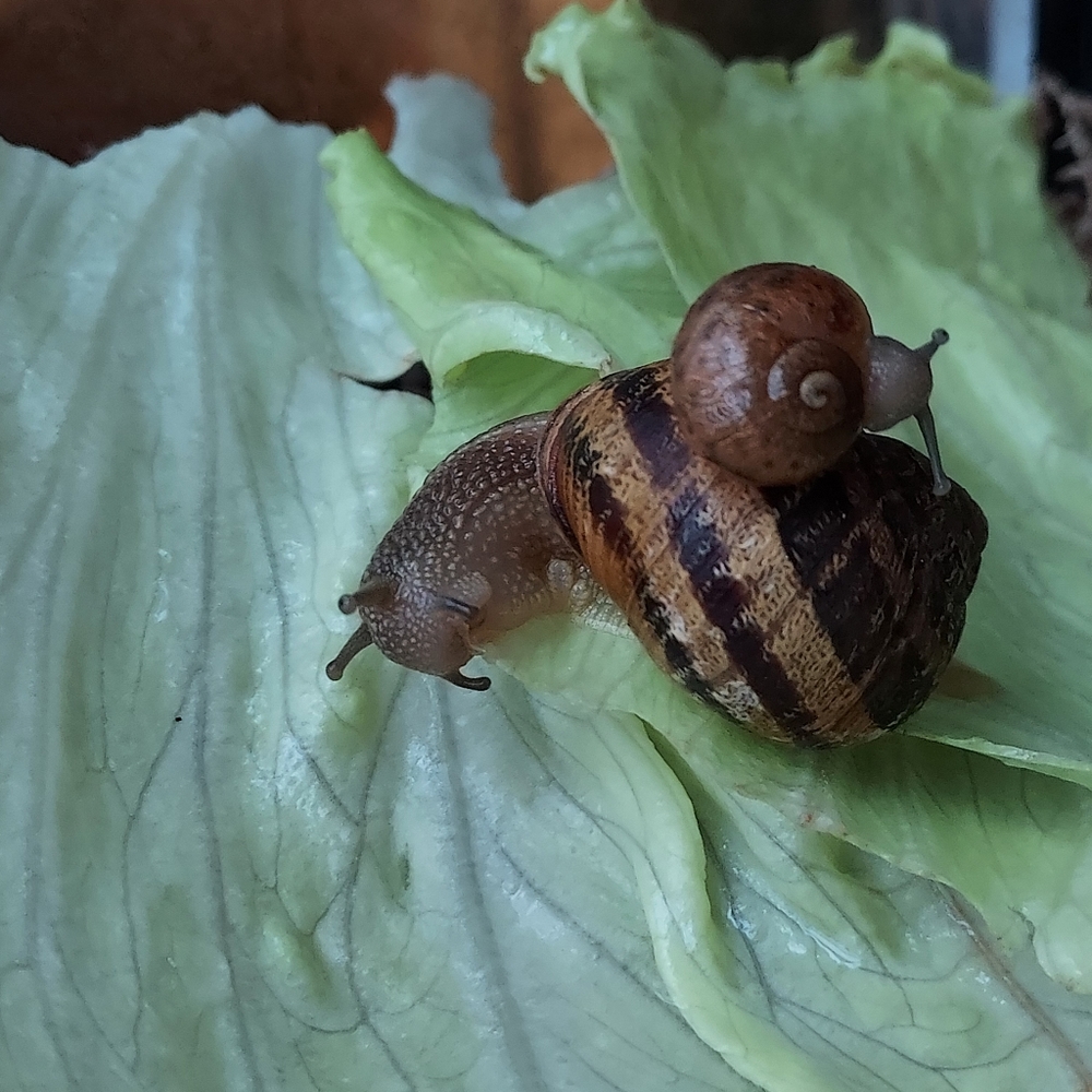 Meet your Posher, Jake